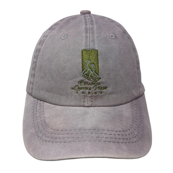 Estancia Laguna Verde Jurassic Lake Slideback Hat Gray One Size Embroidered - Picture 1 of 9